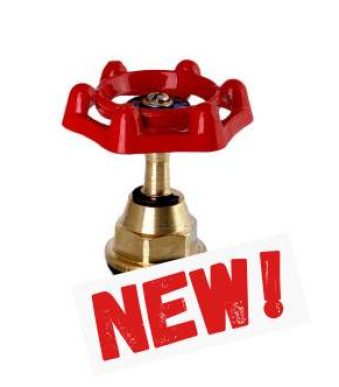 تصویری از بالا تنه شیر فلکه طرح قدیم آذین